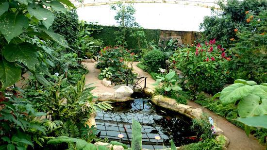 Serre aux papillons de Benalmádena